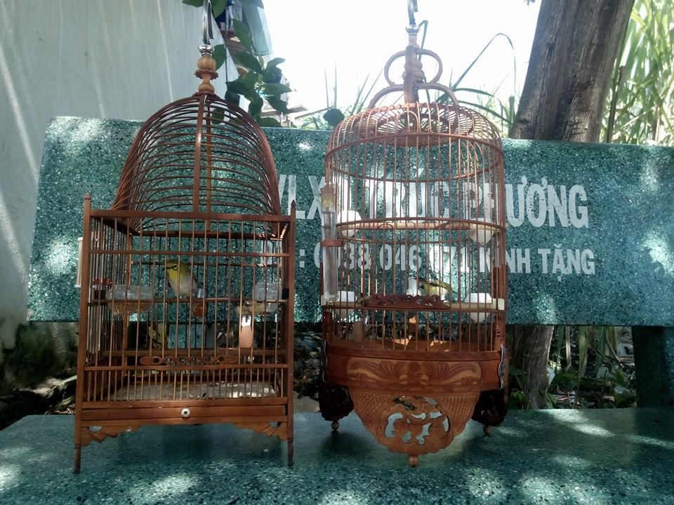 Thanh Lý Nguyên Dàn Chào Mào