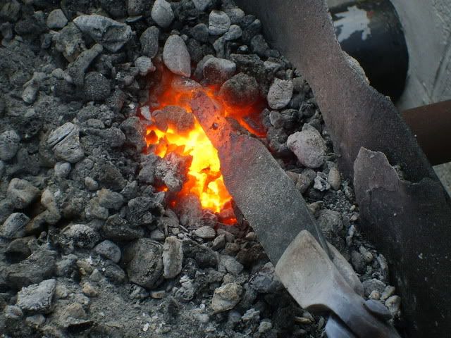 S5001777.jpg