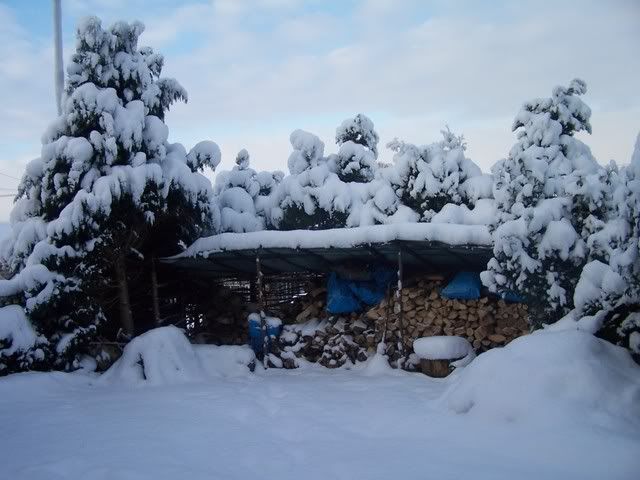 snow11004.jpg