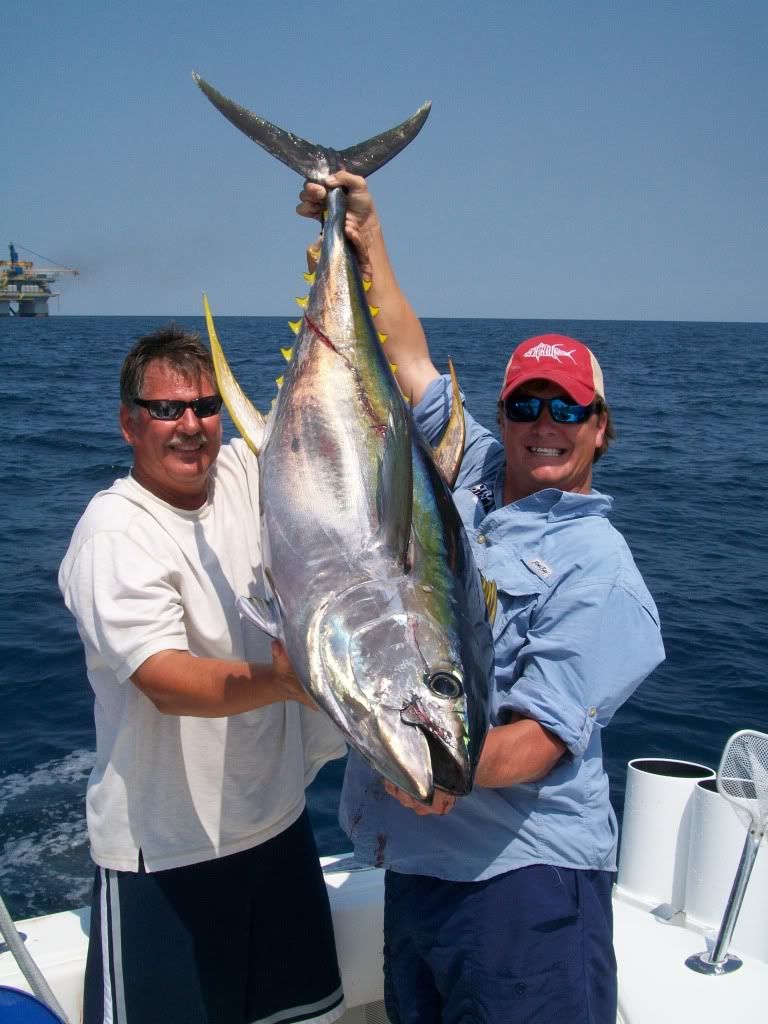 95yftuna.jpg