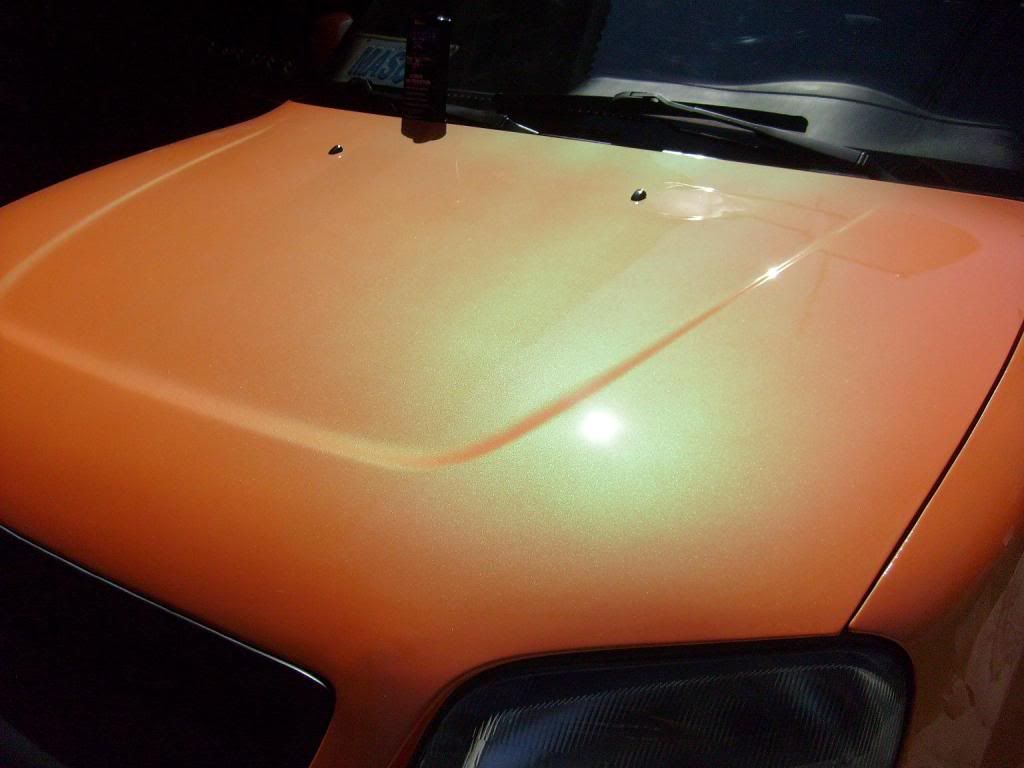 S7300015.jpg