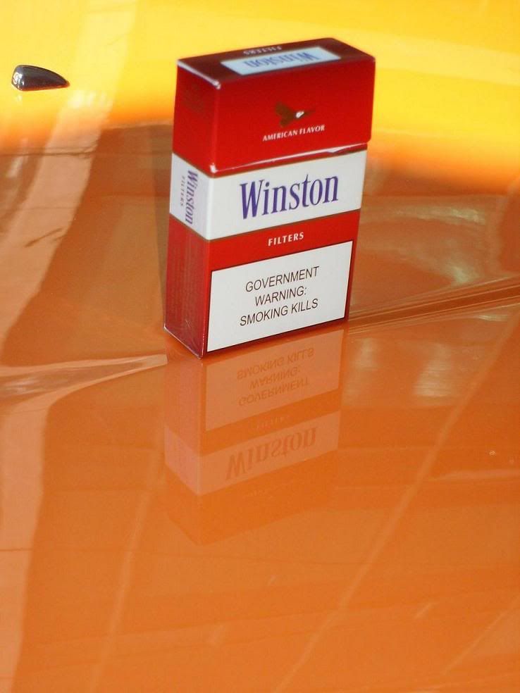 S7300039.jpg