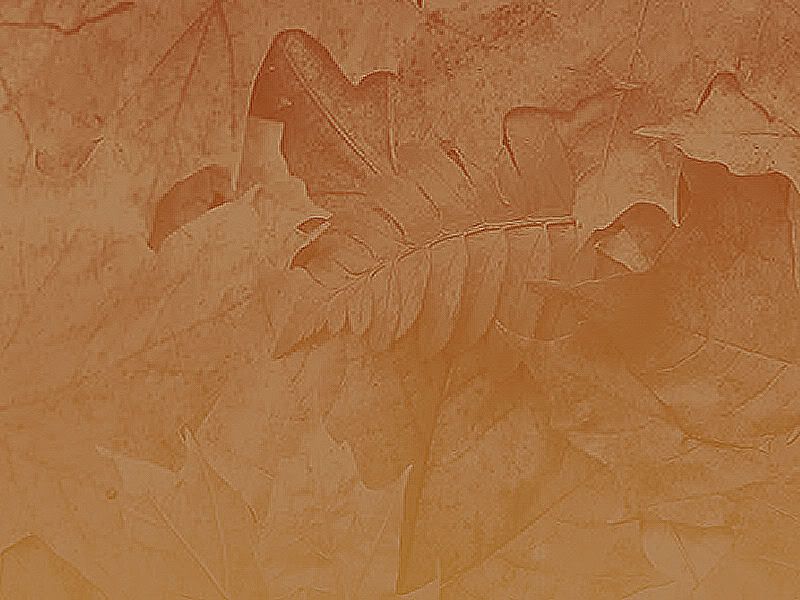 autumn_leaves_paper_rainy.jpg picture by vilma_037