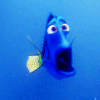 photo findingnemo12_zps5524738e.gif