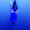 photo findingnemo14_zps79df1b9f.gif