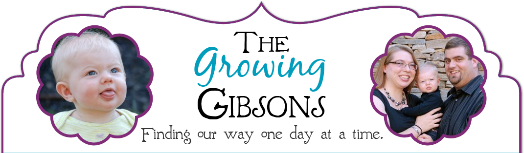 The Growing Gibsons