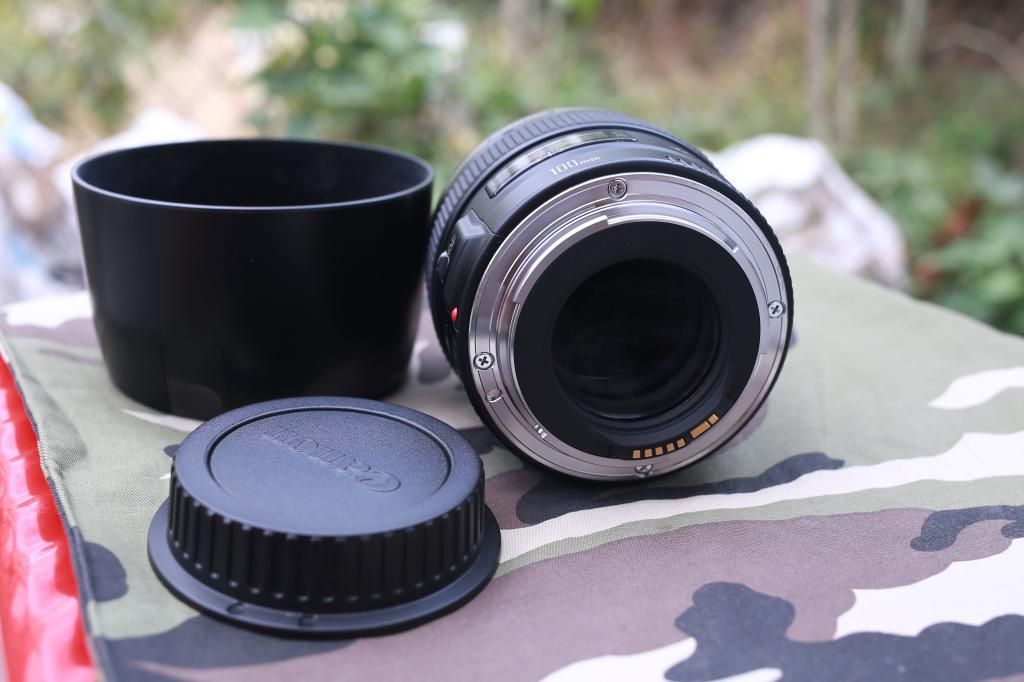 Bán Canon 100 F2.0 hoặc GL 135F2.0