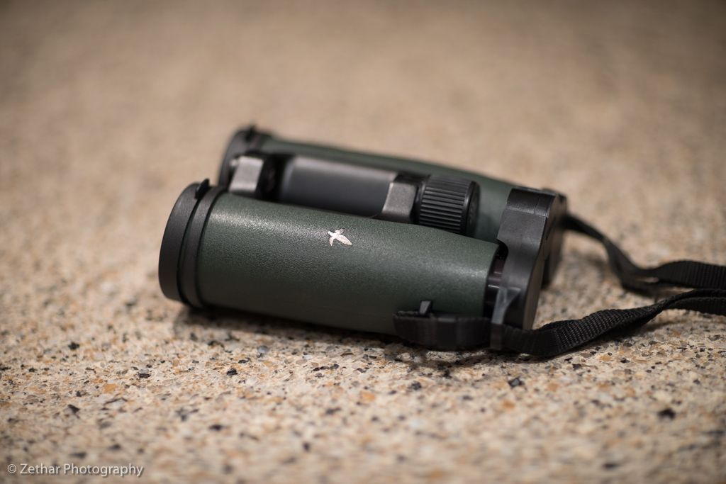 IMAGE: http://i951.photobucket.com/albums/ad356/Zethar_photos/DSC00854_zps69f1c9fc.jpg