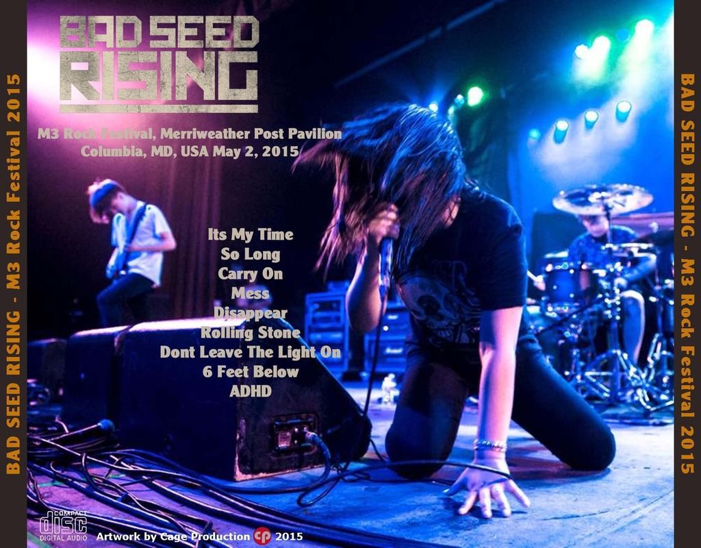 photo Bad Seed Rising-M3 Rockfestival 2015 back_zpsqotsyw8b.jpg