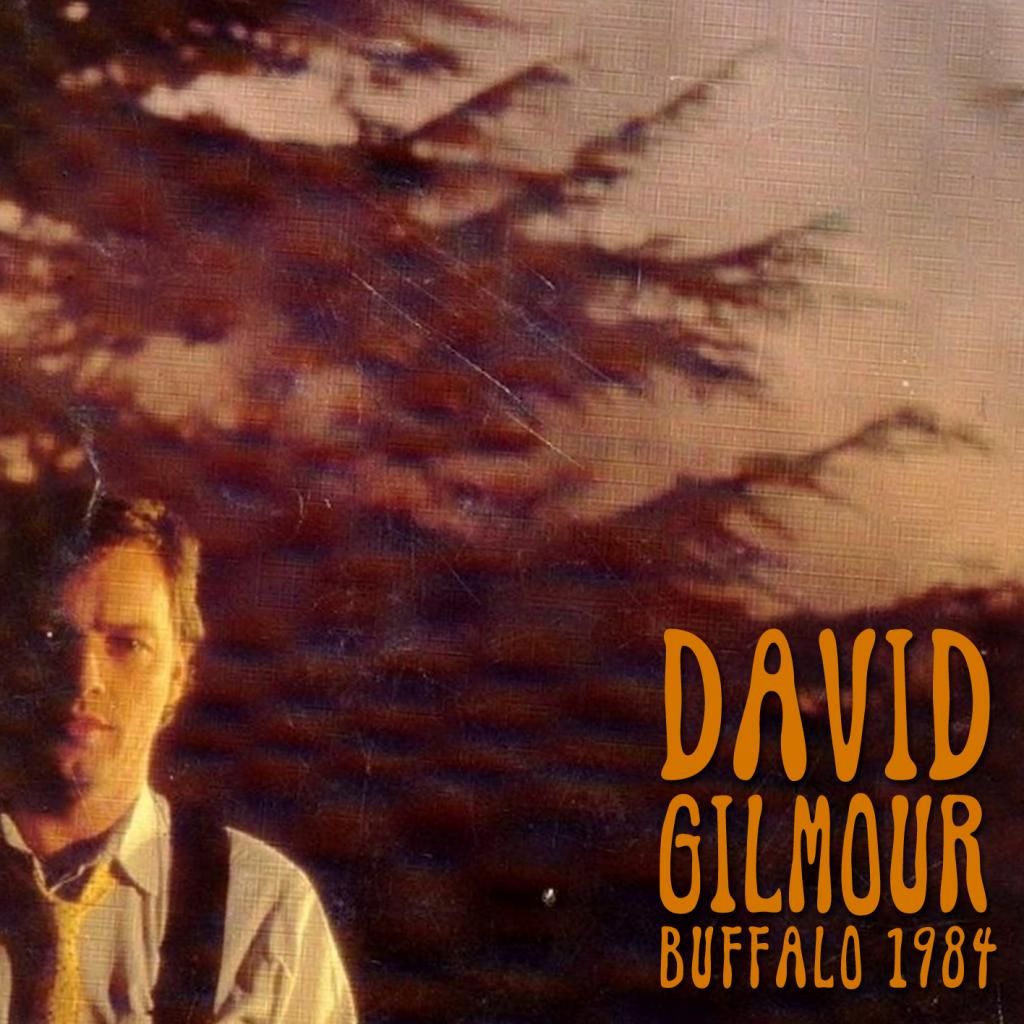 photo David Gilmour 1984-05-16 Buffalo NY_zps8vukvfq7.jpg