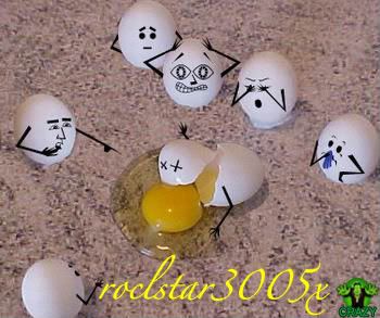 eggs-1.jpg picture by kEnDaLxoRaEx3