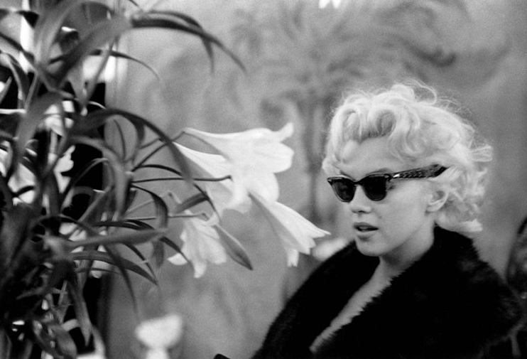 Marilyn Monroe 1955