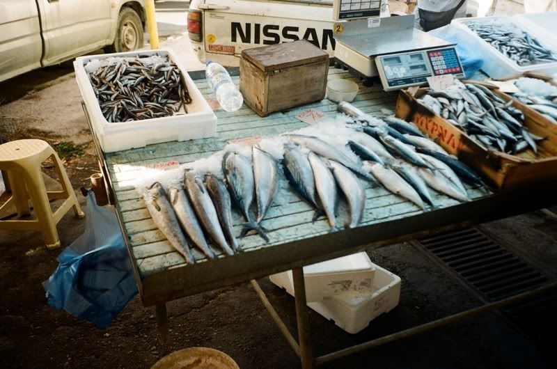 Crete, Greece. Fish market