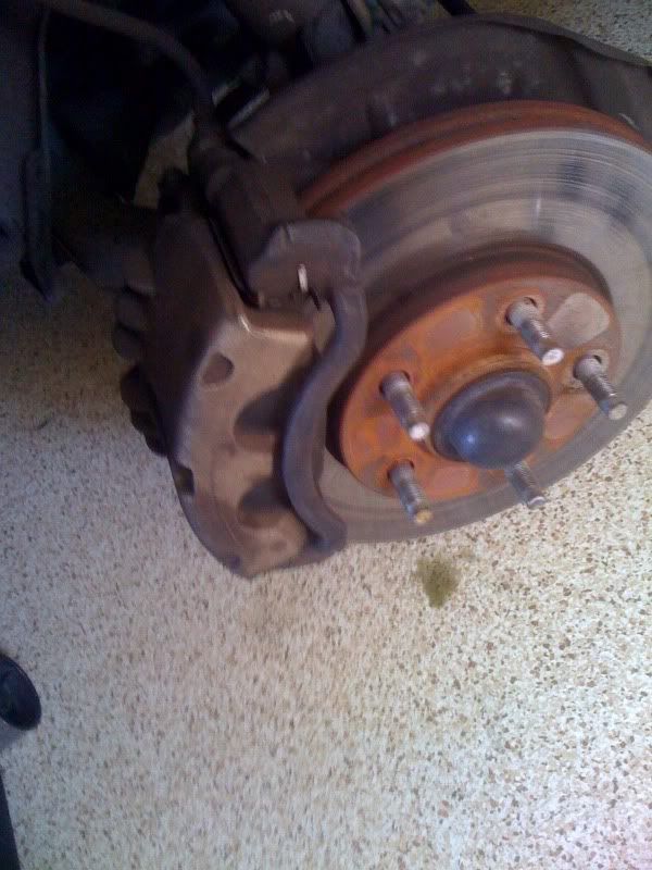 Where can I find grabber blue caliper paint? Modded Mustang Forums