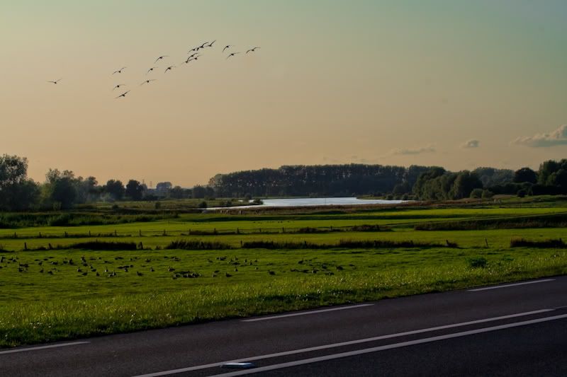 Fotografie