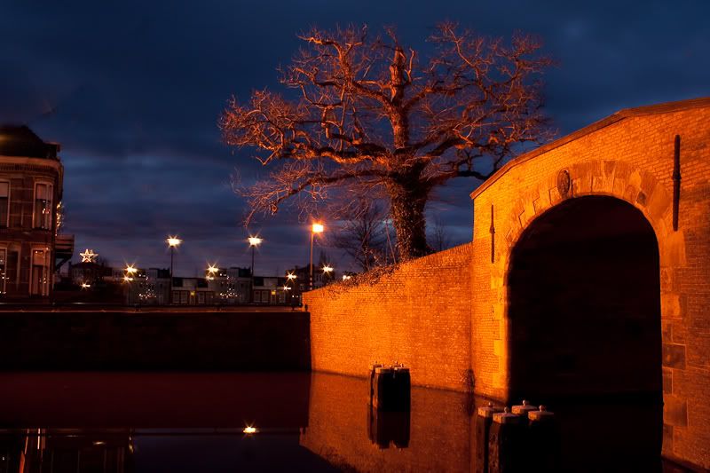Fotografie