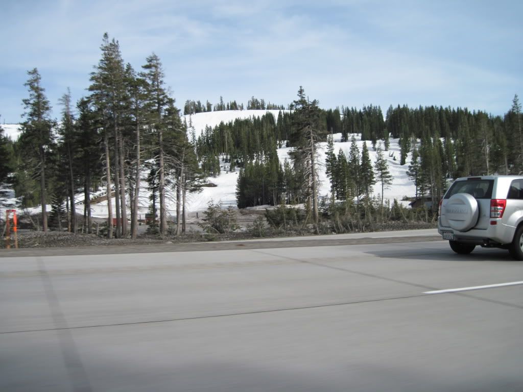 Cars-Tahoe018.jpg