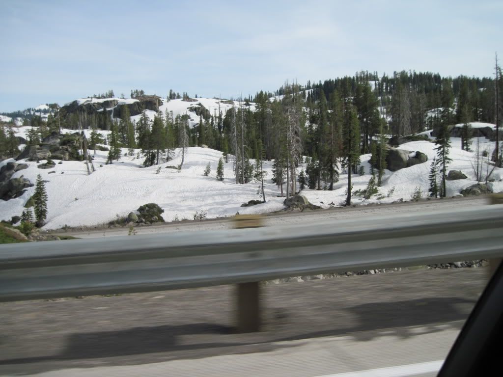Cars-Tahoe020.jpg