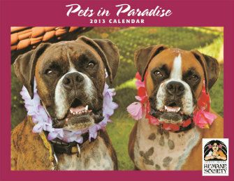 2013_PIPcalendar_FrontBrunoandLani_cpy