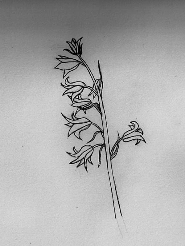 bluebell flower