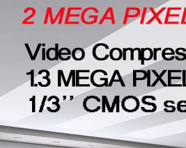 CCTV 2 Mega Pixels H.264 Net IP Camera Security System  