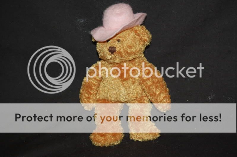 9" plush land soft brown teddy bear pink floppy hat stuffed
