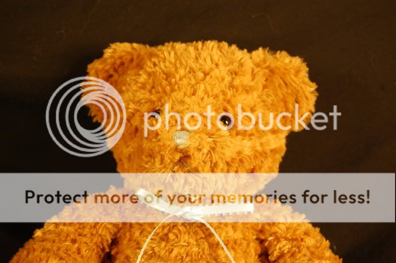   Baby Boy Curly Brown Teddy Bear Plush STUFFED ANIMAL LOVEY TOY  
