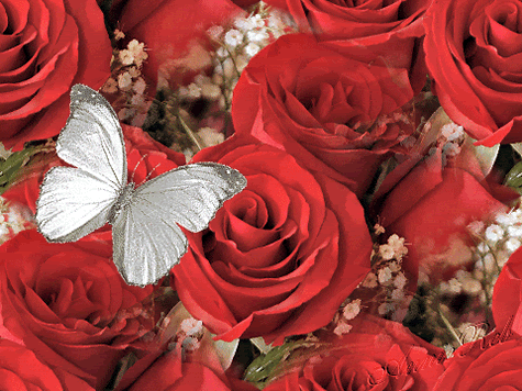flower_012.gif