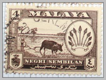 stamp_1.jpg